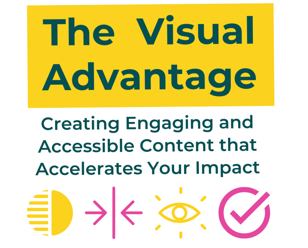 The visual advantage logo